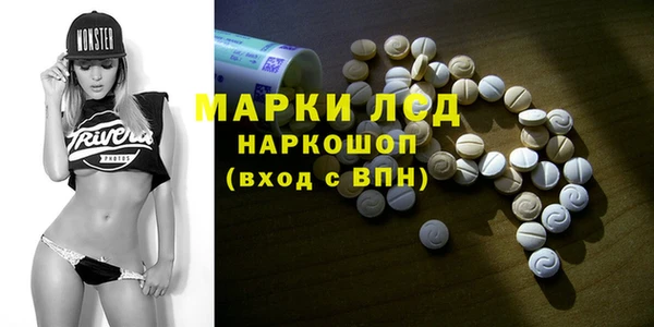 крисы Алзамай