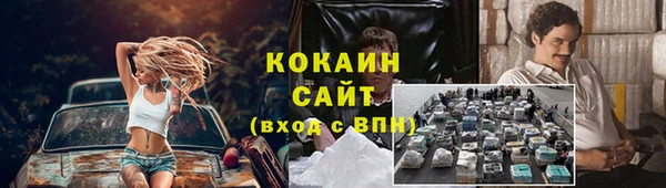 крисы Алзамай
