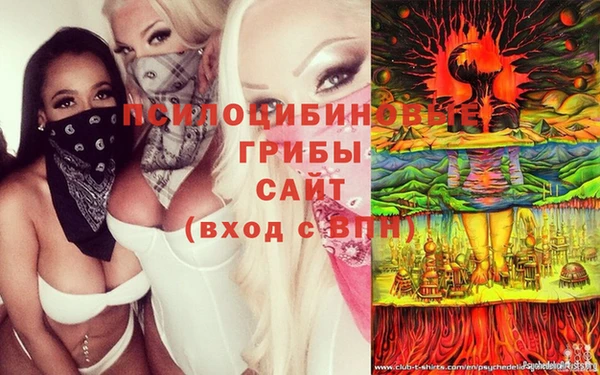 таблы Алексеевка