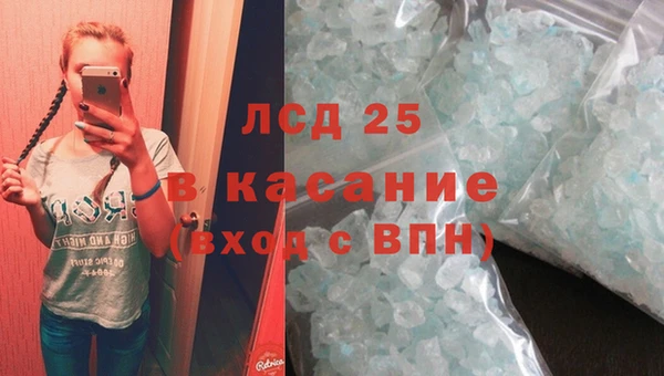 крисы Алзамай