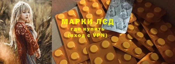 крисы Алзамай