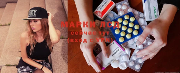 крисы Алзамай